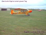 Piper in farbenfroher Bemalung. Gre: 69,0 kB