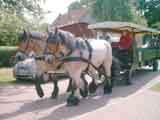 Rundfahrt mit 2 PS. Gre: 74,3 kB