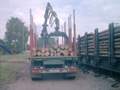 ..die nchste Kralle voll Holz.... Gre: 61,7kB