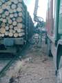 Was macht der Kutscher mit dem Kran am Boden zwischen LKW und Waggon? Auflsung  zwei Bilder weiter  Gre: 40,9 kB