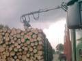 Die Verzurrungen werden nicht etwa per Hand, sondern mit dem Kran über das verladene Holz gelegt. Gre: 55,7 kB