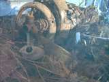 Fw 190 Wrack von vorn. Leider mieses Licht. Gre: 58,3 kB