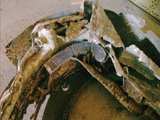Details Ringkühler . Gre: 91,3 kB